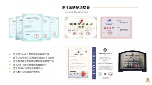 構(gòu)建全球數(shù)字培訓(xùn)系統(tǒng) 上市集團(tuán)公司的戰(zhàn)略路徑與網(wǎng)絡(luò)技術(shù)服務(wù)架構(gòu)